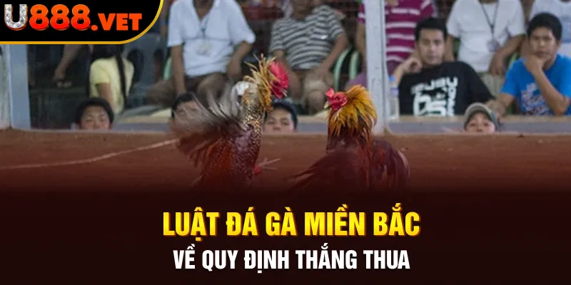 Luật đá gà miền Bắc về quy định thắng thua