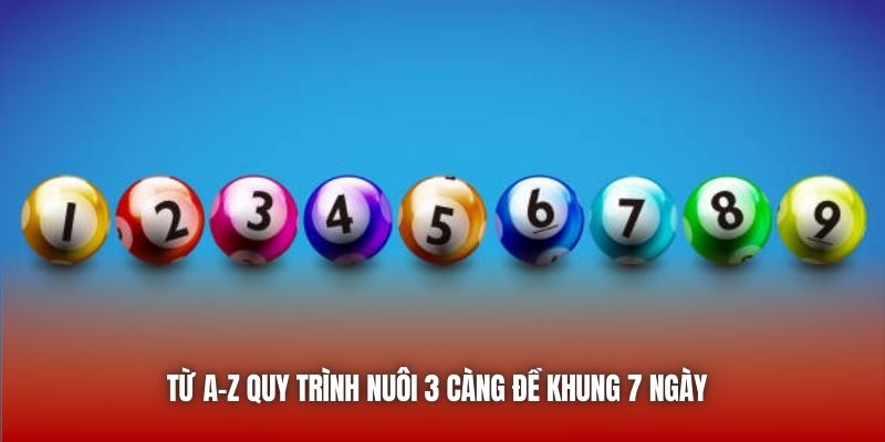Từ A-Z quy trình nuôi 3 càng đề khung 7 ngày