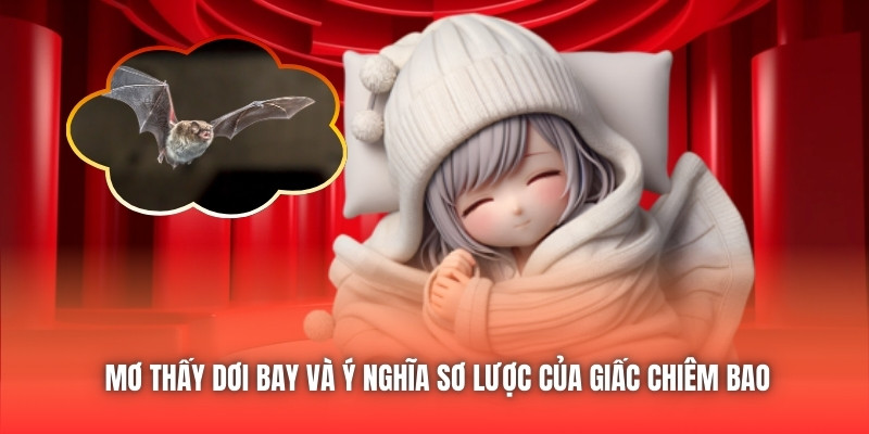 Mơ thấy dơi bay và ý nghĩa sơ lược của giấc chiêm bao