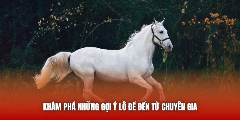 Khám phá những gợi ý lô đề đến từ chuyên gia